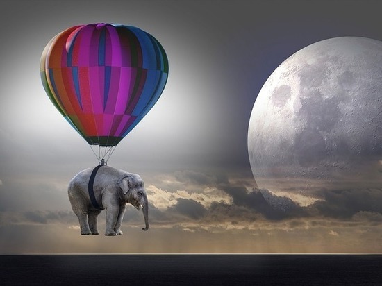 Полная отрешенность: в Петрозаводске продают готовый бизнес для расслабления нервов