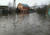 Пострадавшим от паводка жителям Воронежской области выплатят 29,5 млн рублей, люди получат компенсации из резервного фонда облправительства
