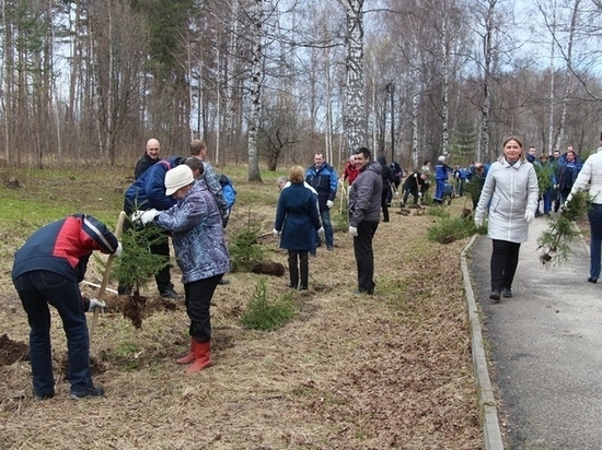 Коллектив Рыбинской ГЭС принял участие в Дне посадки леса