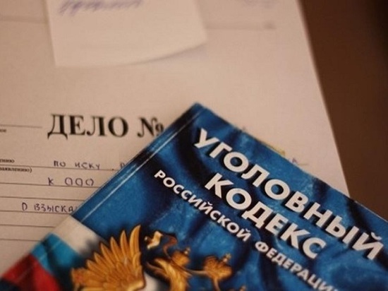 «Предприниматель» из Мордовии попался на краже комбикорма для птиц