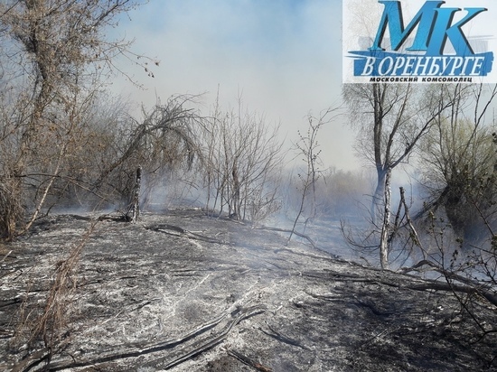 Под Кувандыком сгорело 11,5 гектаров лесного фонда