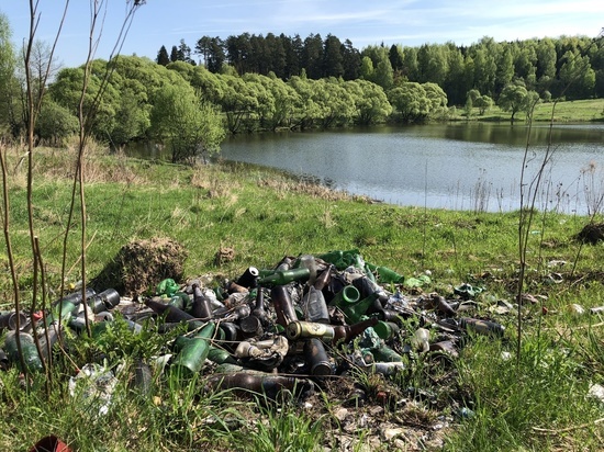 Пруд близ Ясной Поляны утопает в мусоре