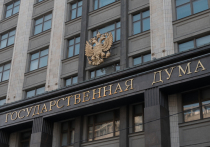 Законопроект об уголовной ответственности за исполнение на территории России санкций США и других государств, готов и будет внесен в Госдуму 14 мая