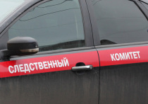 Следственный комитет России (СКР) передал WADA доказательства, которые опровергают показания экс-главы Московской антидопинговой лаборатории Григория Родченкова о подмене проб спортсменов в сочинской лаборатории во время Олимпиады
