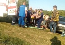 Множественные тяжелейшие травмы получили мужчина и женщина в результате наезда юной автоледи на пляже Лаговского пруда в подмосковном Подольске