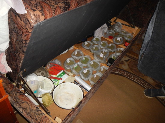 В Волгоградской области перекрыли канал поставки наркотиков в армию