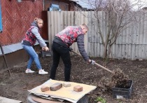 Весна наложила свой отпечаток на работу волонтеров в Алтайском крае