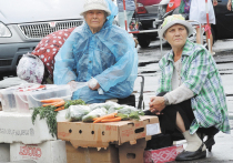Новость сезона для дачников — им разрешили торговать своими овощами и фруктами на рынках Подмосковья