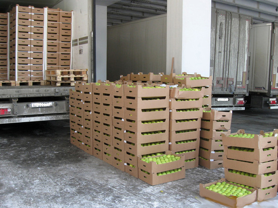 В Томской области на полигоне раздавили 150 тонн яблок из Европы