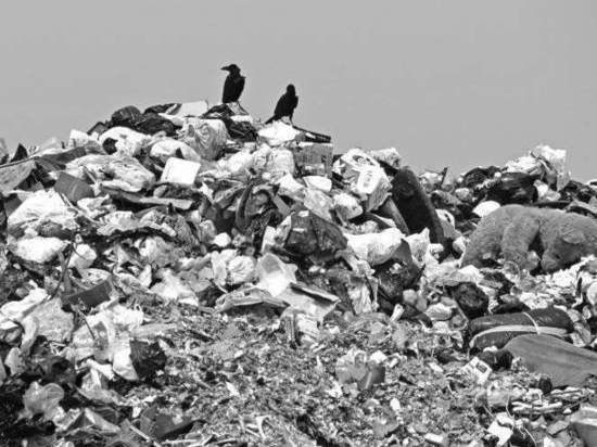 Переработка мусора в краснодарском крае
