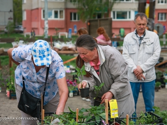 Купить или продать: в Петрозаводске открылась сельскохозяйственная ярмарка