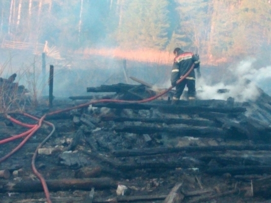 Уралец, сжигавший мусор, устроил лесной пожар