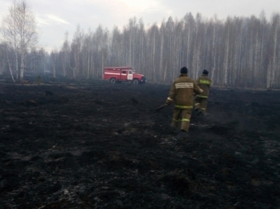 Свердловскую деревню от лесного пожара защищали 67 человек и вертолет Ми-8
