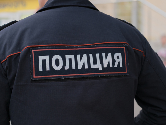 Россияне направляют петиции в приемную ГУ МВД , требуя найти преступника