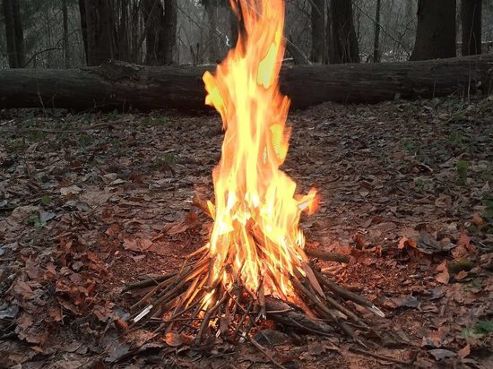 В Ульяновской области 22-25 мая сохранится 4-й класс пожарной опасности лесов