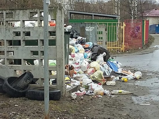  Петрозаводчане пожаловались на вывоз мусора больше 400 раз за две недели
