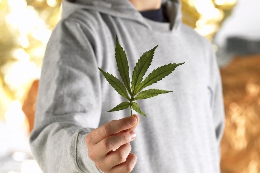 Подросток и марихуана описание выращивания конопли