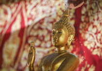 Сегодня люди, исповедающие буддизм, отмечают день рождения  легендарного основателя этой религии — Будда Шакьямуни, получившего при рождении имя  Сиддхартха Гаутама