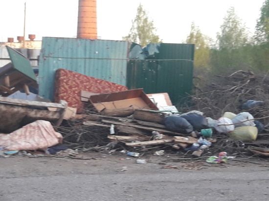 В Ульяновске жителей частного сектора обяжут убирать мусор возле домов  