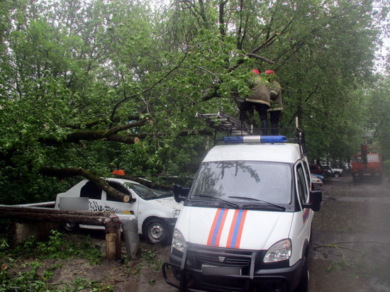 Шесть деревьев упали в Костроме: повреждены провода и машины
