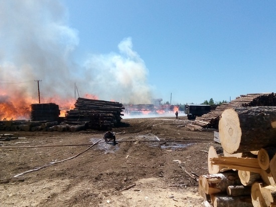 Пожар на частной пилораме в Павино: сгорело 10 тысяч квадратных метров