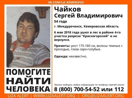 Мужчина ушел в лес и пропал без вести в Кузбассе 