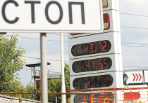 Правительство поручило Минфину, Минэнерго и Федеральной антимонопольной службе подготовить до 28 мая проекты законов о снижении акцизов на бензин и дизельное топливо