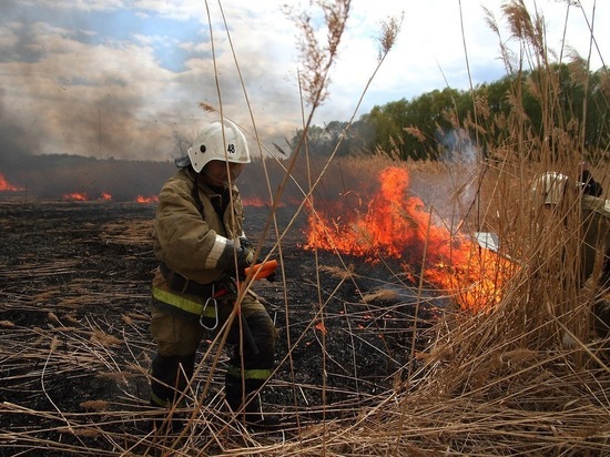 В лесах Мордовии объявлен самый высокий класс пожароопасности