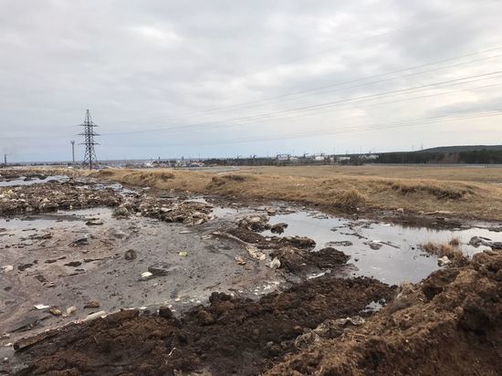 Активисты ОНФ в Югре проинспектировали свалку отходов Белоярской птицефабрики