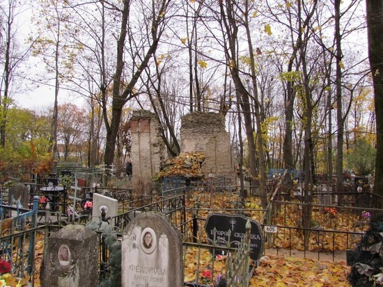 На территории Мироносицкого кладбища в Пскове растут 400 аварийных деревьев