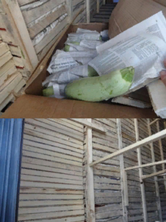 В Оренбуржье не разрешили завезти 20 тонн узбекских овощей