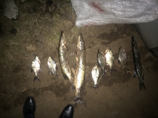 На жителя Сорочинского округа возбудили уголовное дело за 9 пойманных сетью рыб 