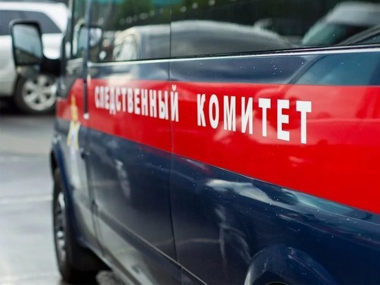 Безвестное исчезновение в Тверской области подростков заинтересовало следователей