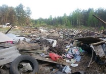 Поселок в Муезерском районе Карелии не имеет собственного полигона для складирования мусора - имеется в виду, официального