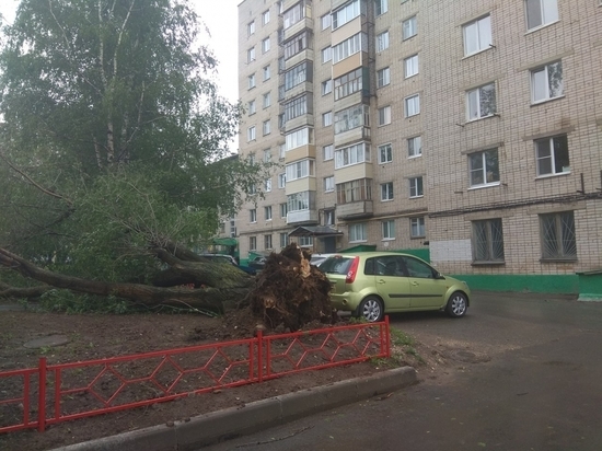 Поваленные деревья, сорванные крыши и обесточенные населенные пункты: последствия циклона в Чувашии