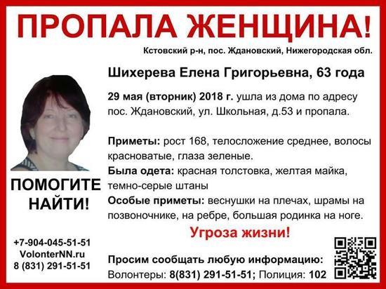 Объявлен сбор на поиски Елены Шихеревой, пропавшей в Кстовском районе
