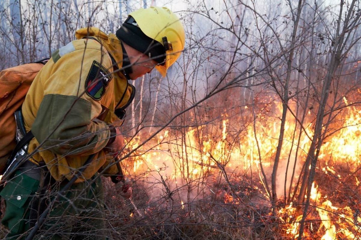 Повышенная пожароопасность. Пожароопасность в лесах. Лесной пожар зимой. Пожарная опасность в лесу. Пожарники в лесу.