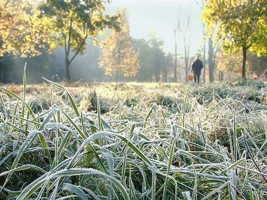 Заморозки на почве ожидаются 1 июня в Мордовии