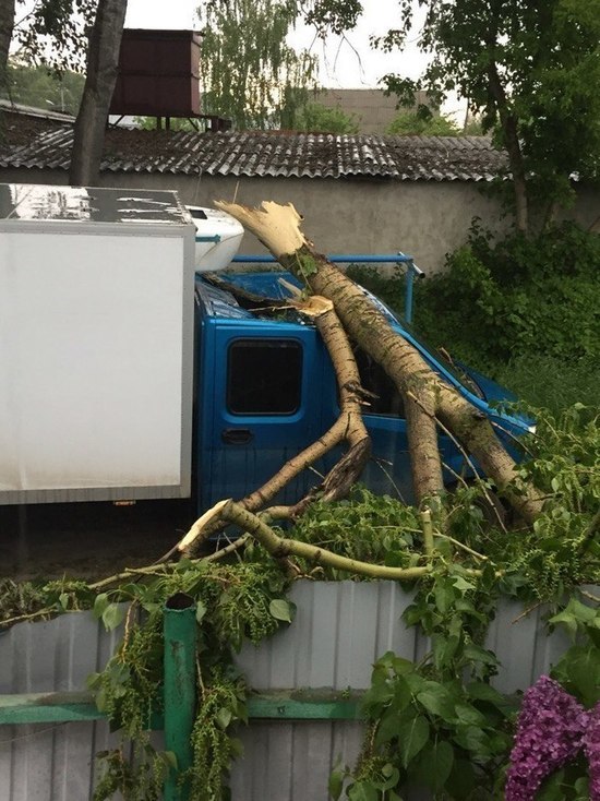 В Ульяновске ураган повалил 30 деревьев