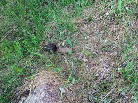 Железный предмет, найденный на поле в Карелии, оказался гранатой