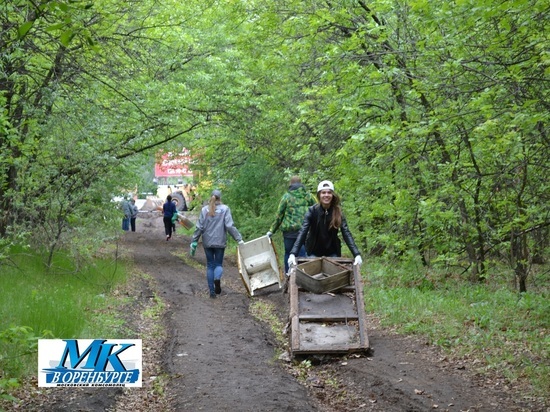 Оренбургские студенты насобирали мусор в лесополосе на три КАМАЗа