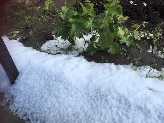В Тольятти в первый день лета выпал снег 