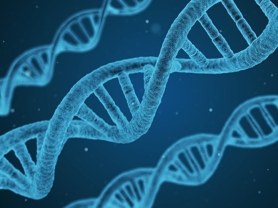 Открыт ген, сделавший человека венцом эволюции
