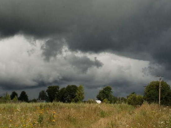 Первая летняя неделя в Тверской области будет дождливой и прохладной