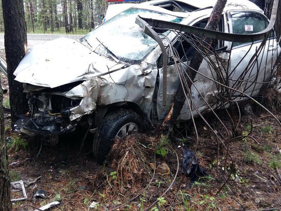 В Мордовии машина вылетела в кювет, погиб 24-летний водитель
