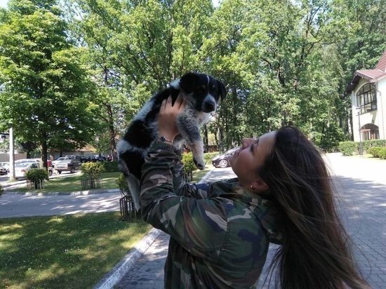 В Калининграде нашли хозяев щенку, которого заперли в камере хранения супермаркета