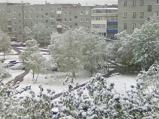 В Мурманской области выпал снег 
