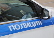 В прошлом году в Башкирии региональные полицейские выявили около 800 коррупционных преступлений в органах власти, в том числе более 250 фактов взяточничества