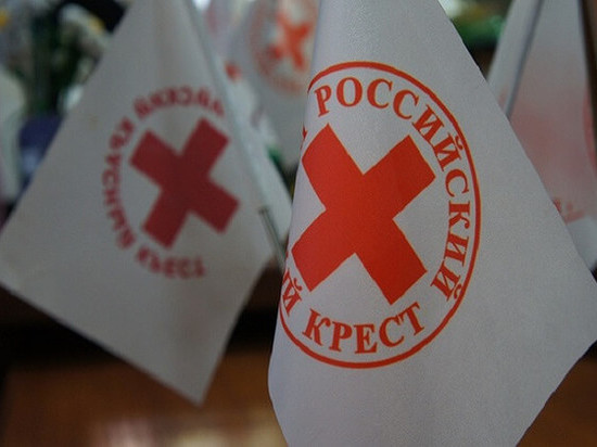 Тверское отделение Красного Креста открывает сбор для Медновского интерната