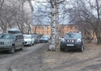 Петросовет принял порядок, по которому будут организованы платные парковки в столице Карелии